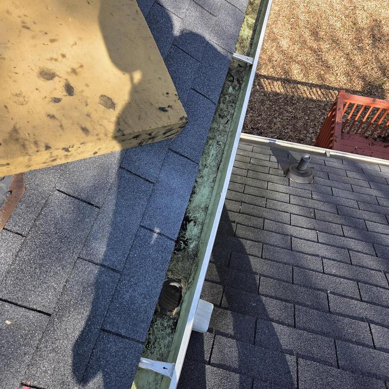 Roof shingles and gutters with debris buildup