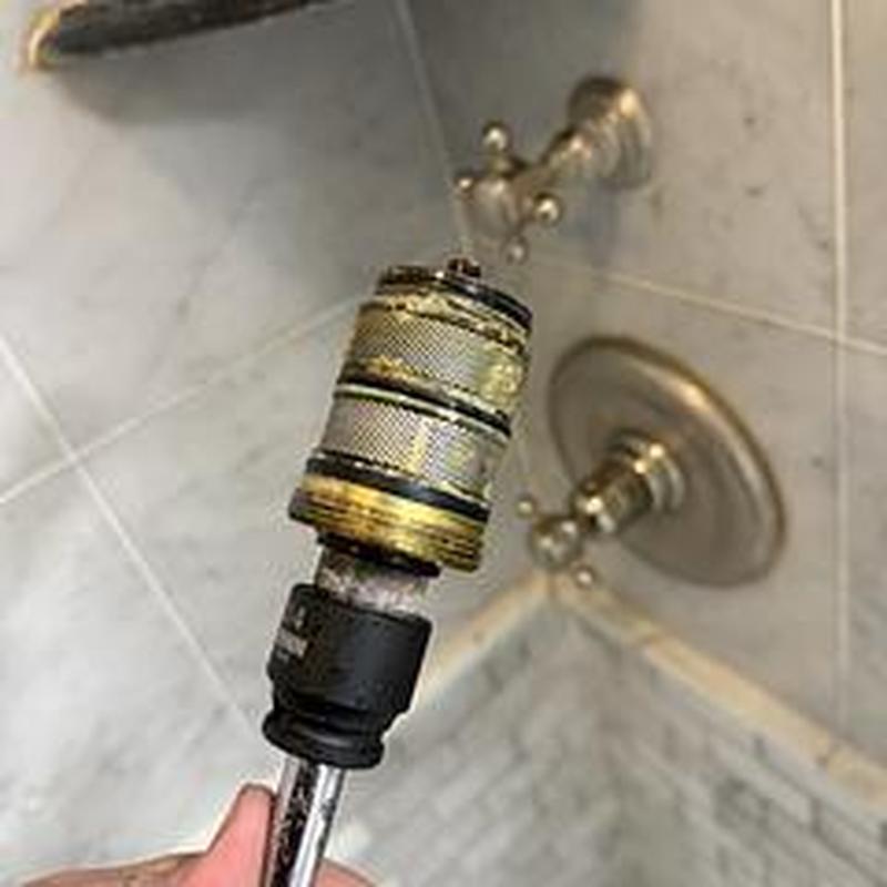 Shower valve cartridge with scale buildup removal