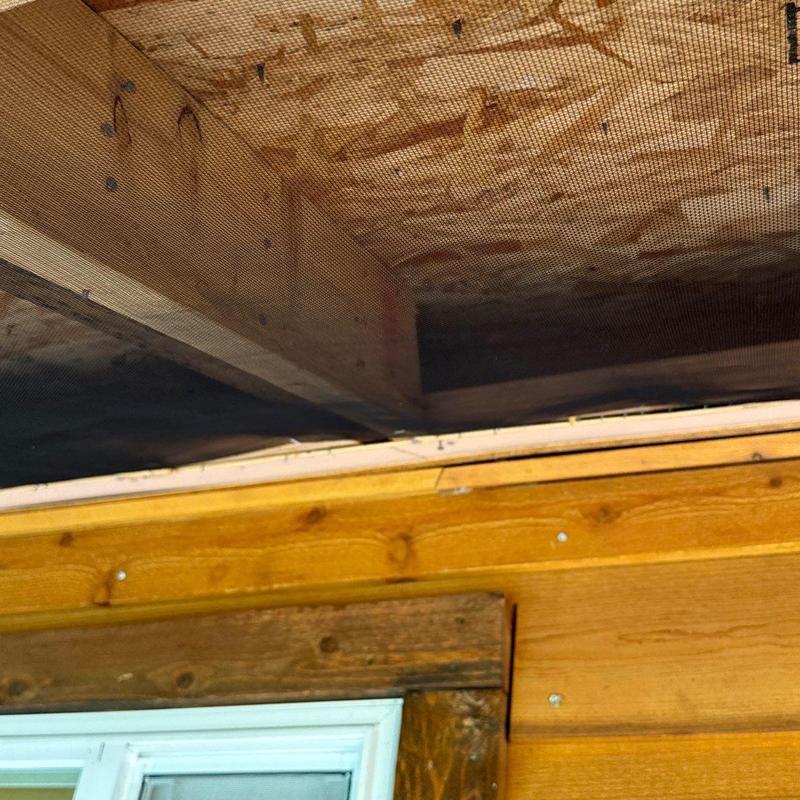 Screened porch ceiling wood framing and sheathing inspection