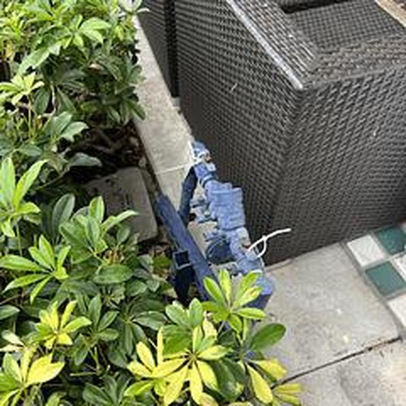 Backflow prevention device with test gauges near plants