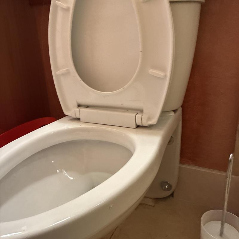 Toilet bowl and tank with open seat in bathroom