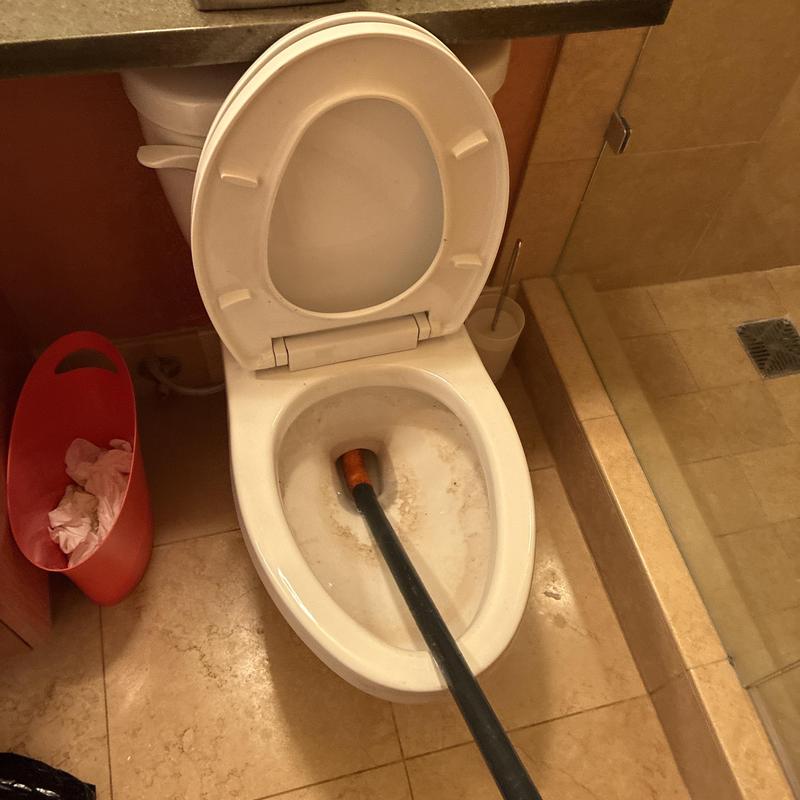 Toilet bowl blockage clearing with plunger in bathroom