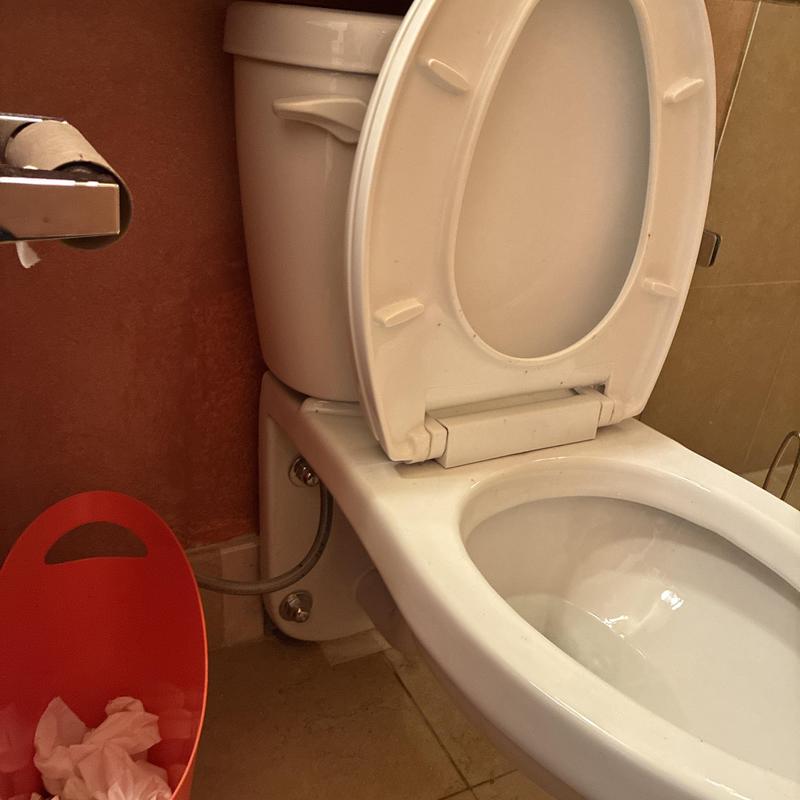 Toilet bowl and tank with open lid in bathroom