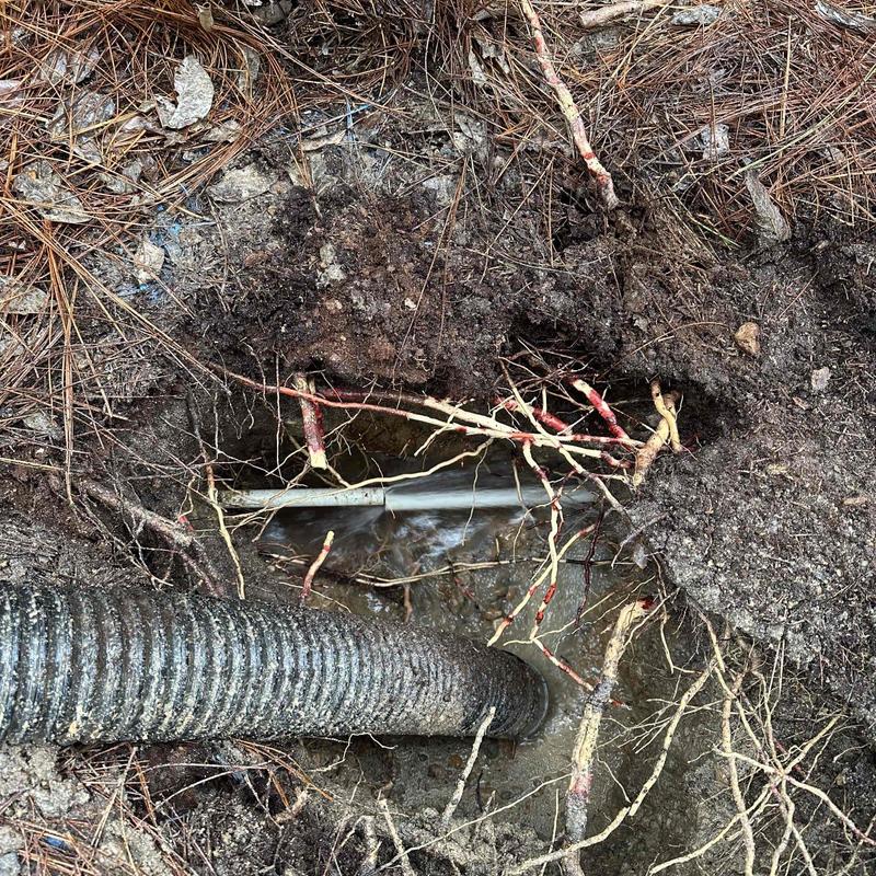 Underground leaking pipe with root obstruction and water Underground leaking pipe with root obstruction and water