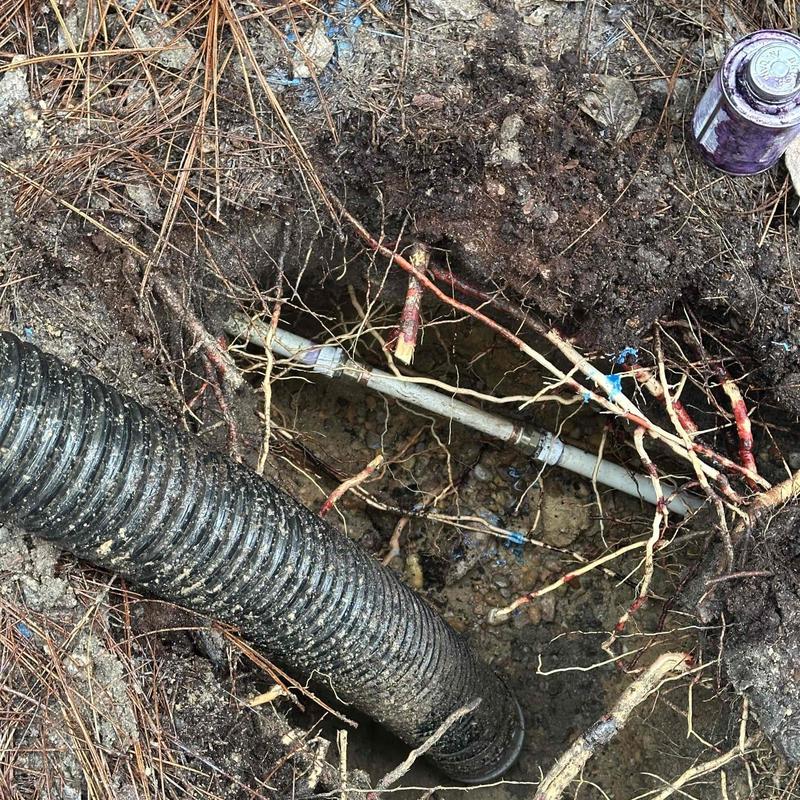 Underground water pipe with root obstruction and excavation Underground water pipe with root obstruction and excavation