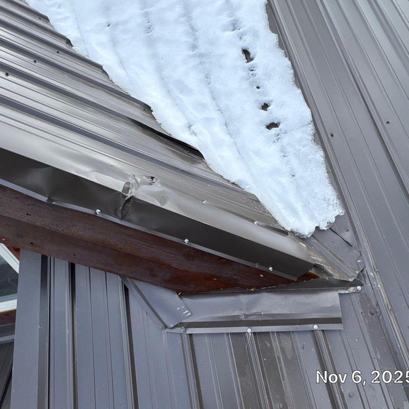 Metal roof panels and flashing with ice dam damage