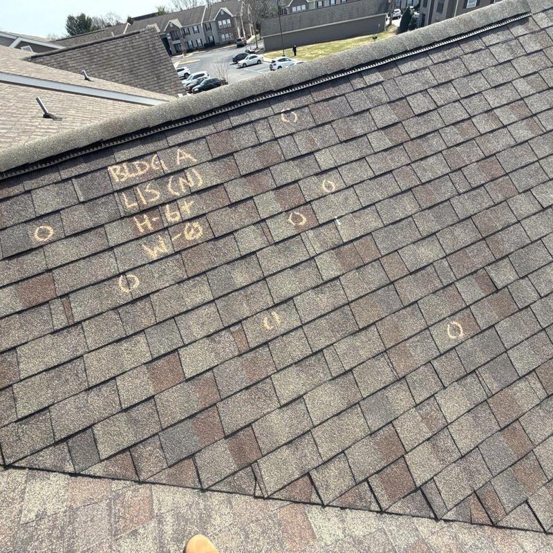 Apartment roof shingles with hail damage marks