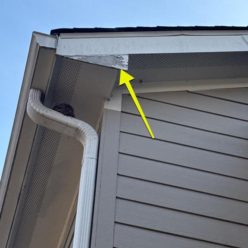 Eaves with peeling paint and gutter downspout nearby