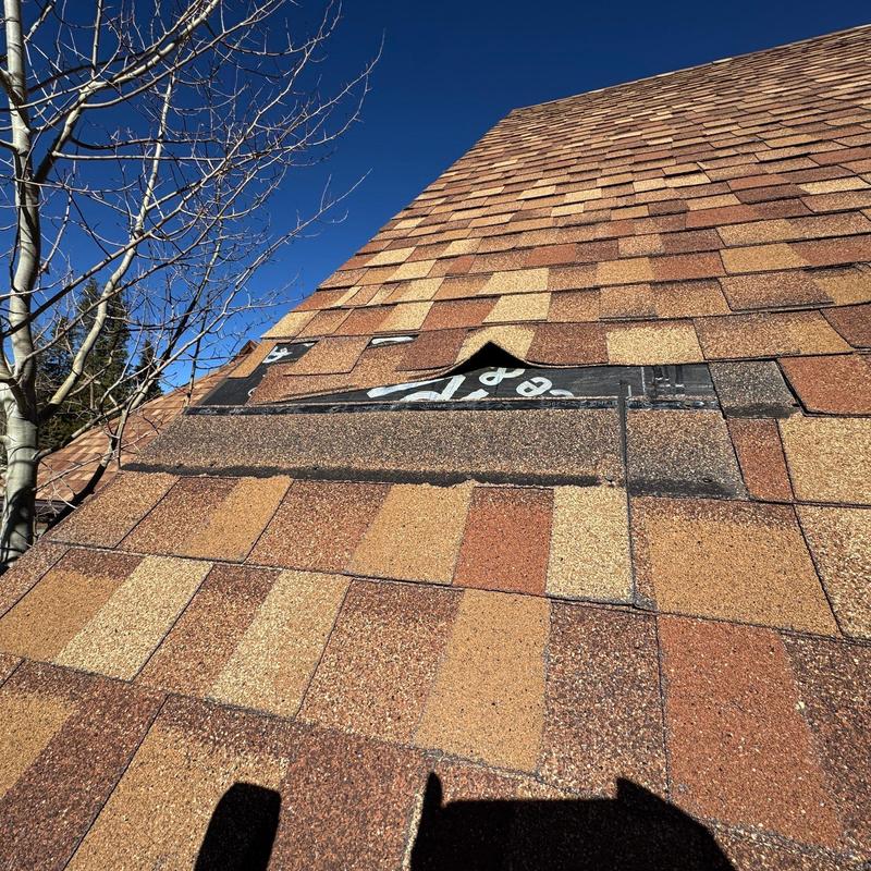 Asphalt shingle roof with lifted and missing shingles