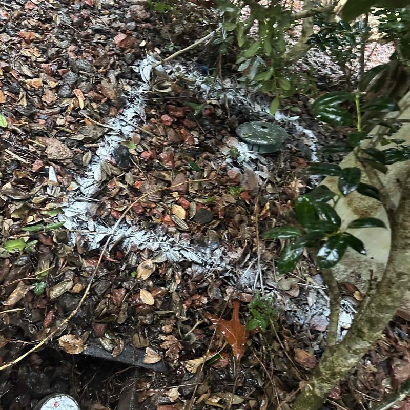 Underground valve box with soil and mulch coverage Underground valve box with soil and mulch coverage