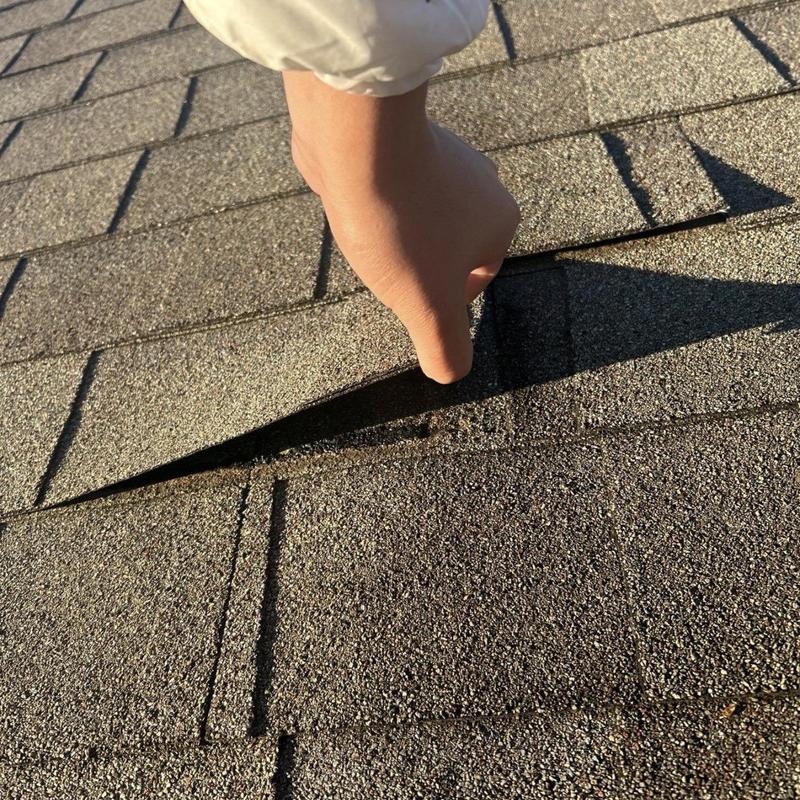 Lifted asphalt roof shingle during inspection in Friendswood TX