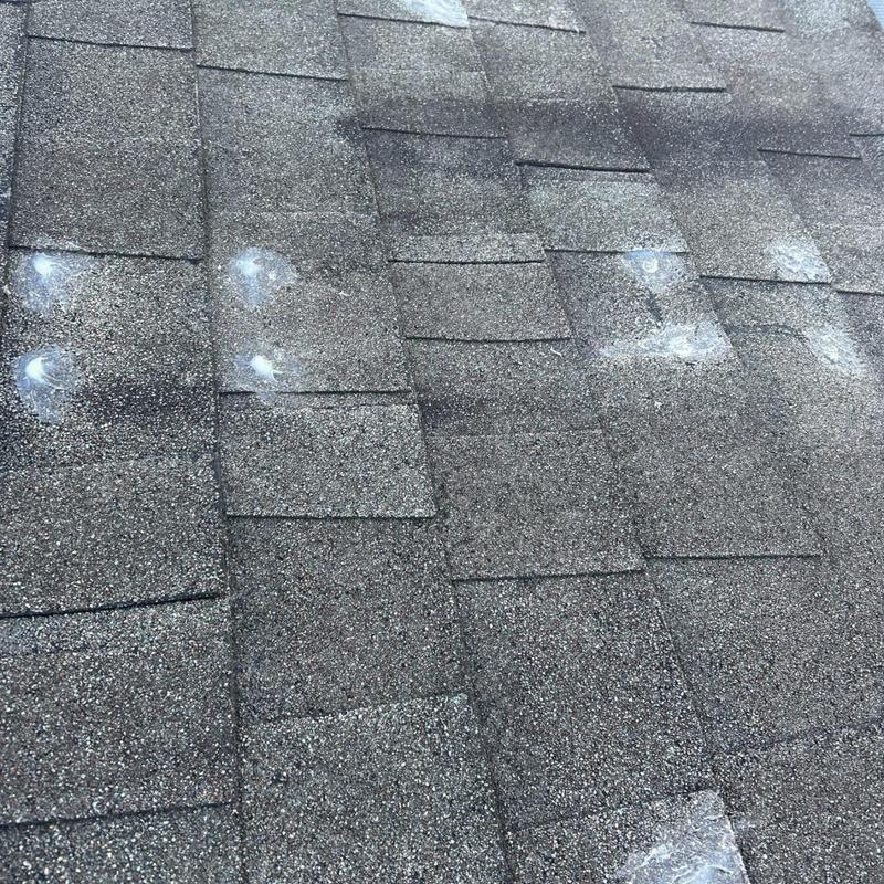 Asphalt roof shingles with hail damage marks