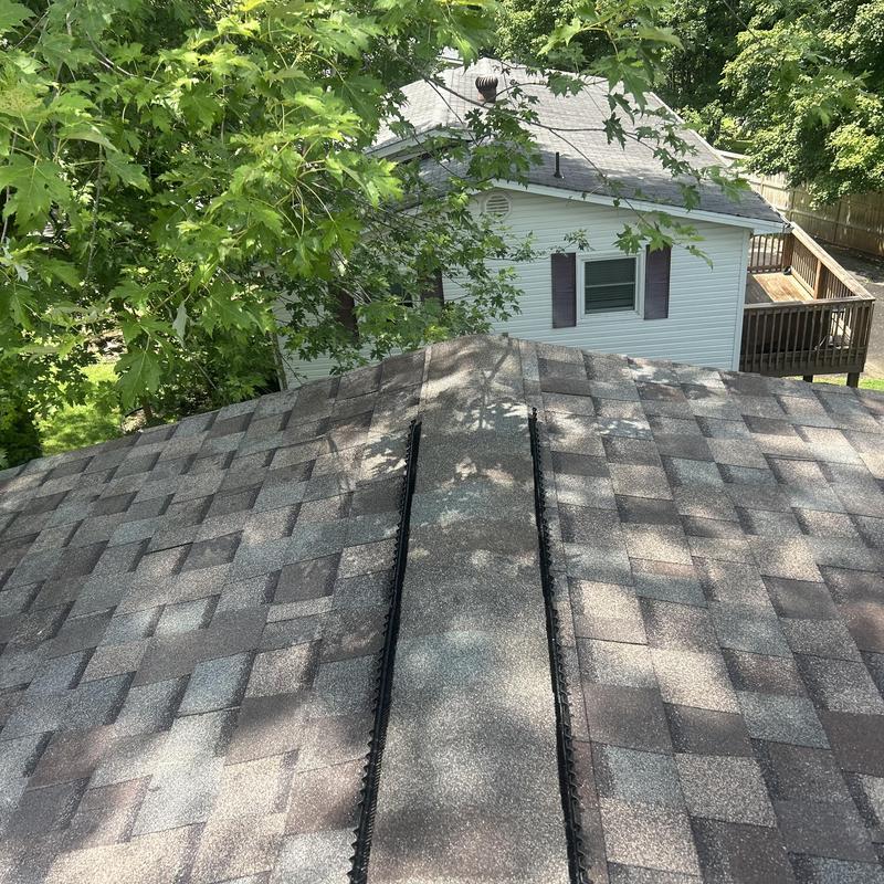 Majestic Shake shingle roof ridge with tree shadows