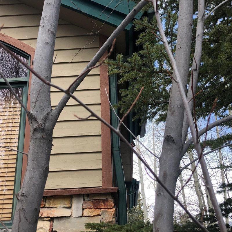 Asphalt shingle roof with green gutter and siding details