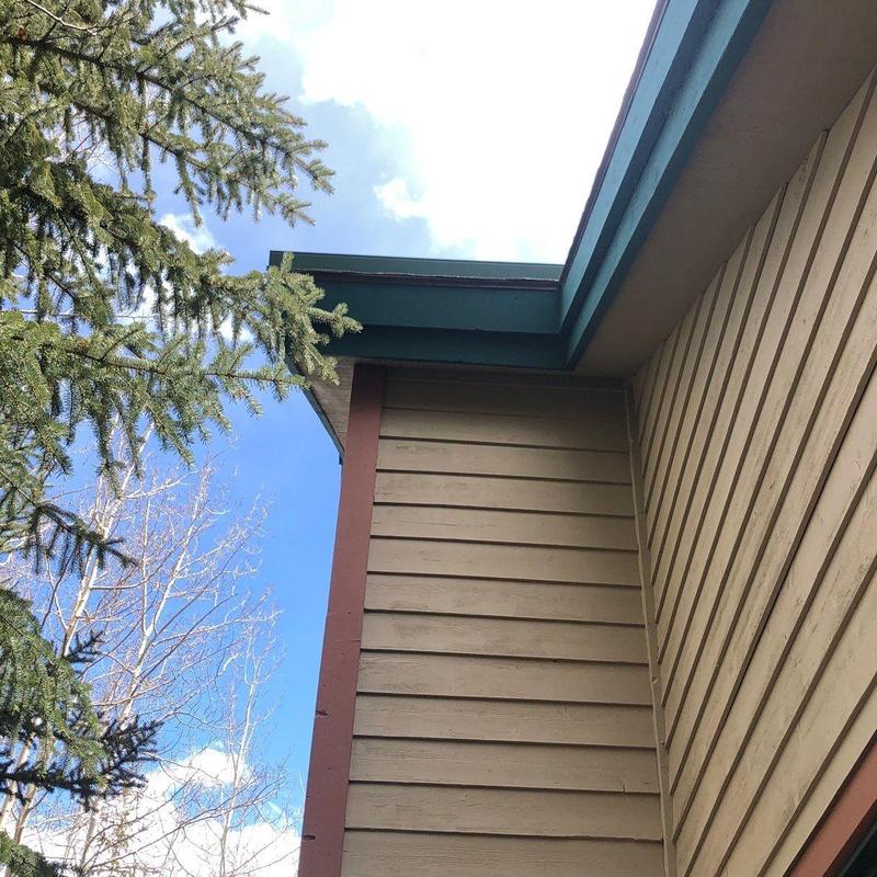 Asphalt shingle roof edge and siding detail