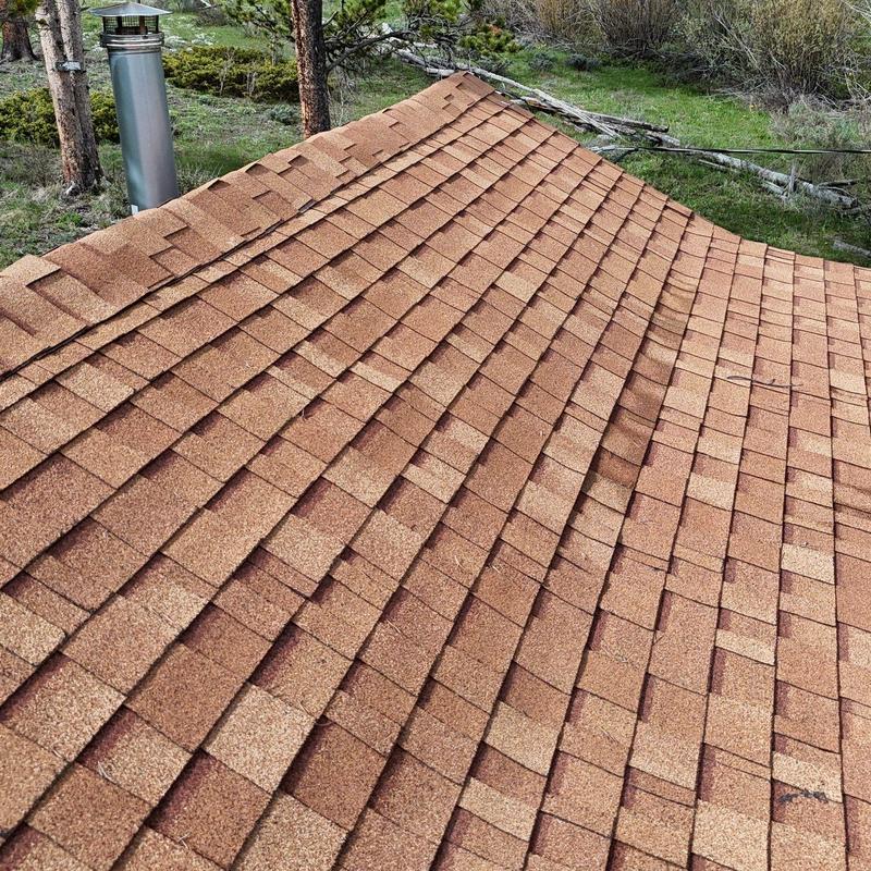 Asphalt shingle roof with ridge vent in wooded area