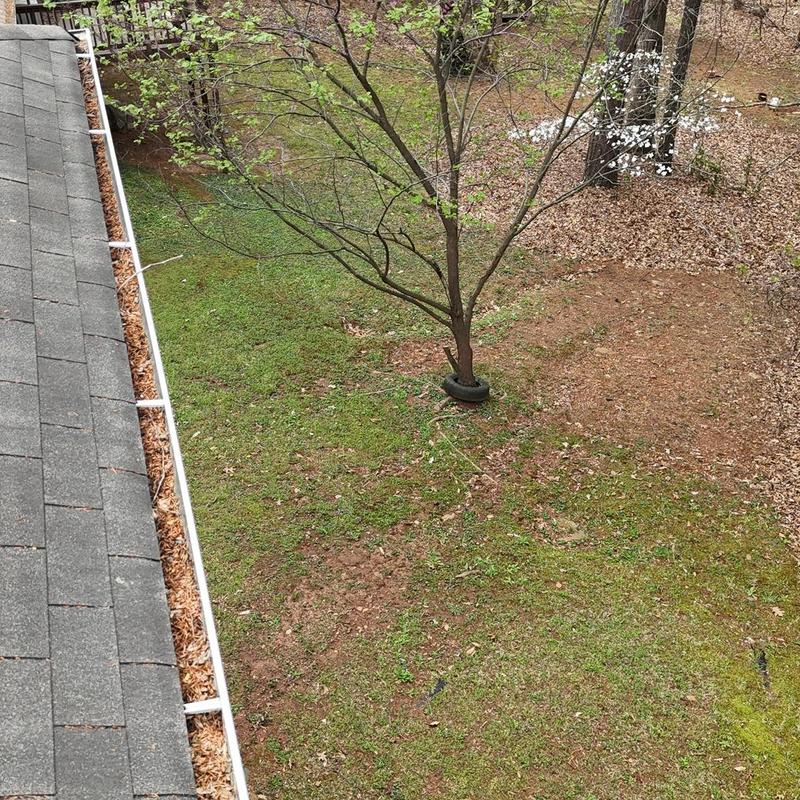 Gutters clogged with leaves and debris on roof edge
