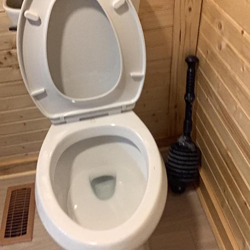 Toilet bowl with flange plunger by wooden wall