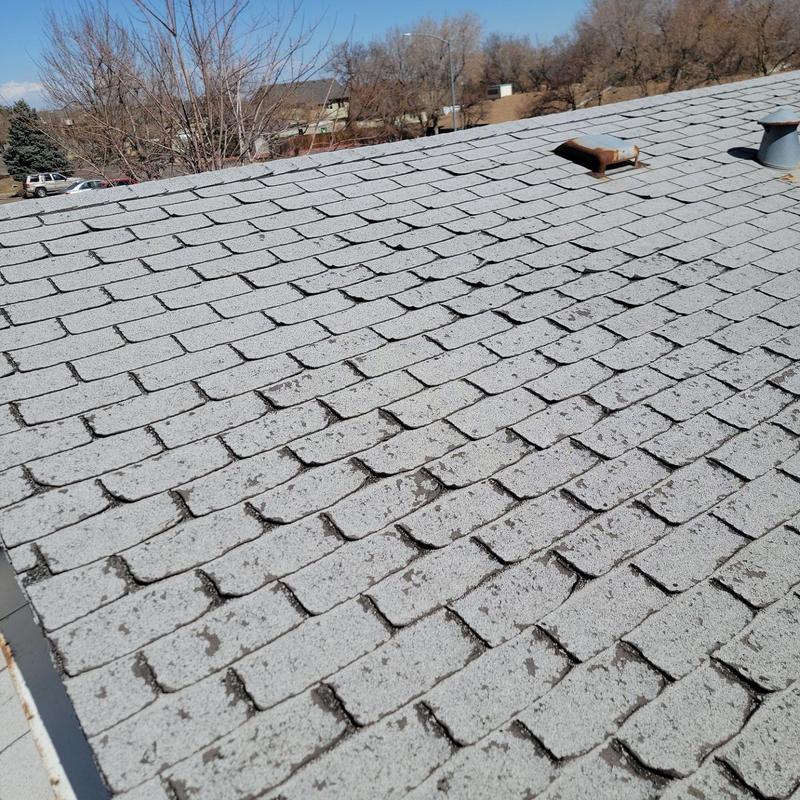 Asphalt shingle roof with hail damage spots Asphalt shingle roof with hail damage spots