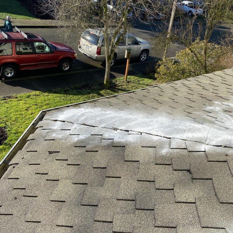 Asphalt shingle roof with moss treatment application