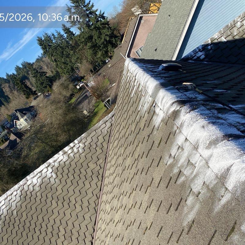 Roof shingles with moss treatment application and cleaning