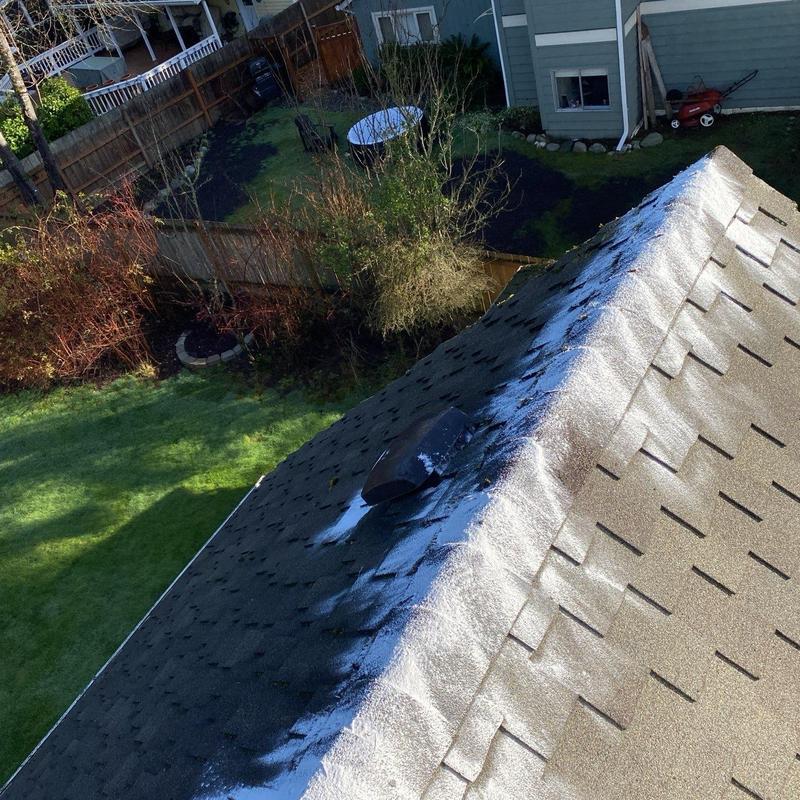 Roof moss treatment and cleaning on shingle roof