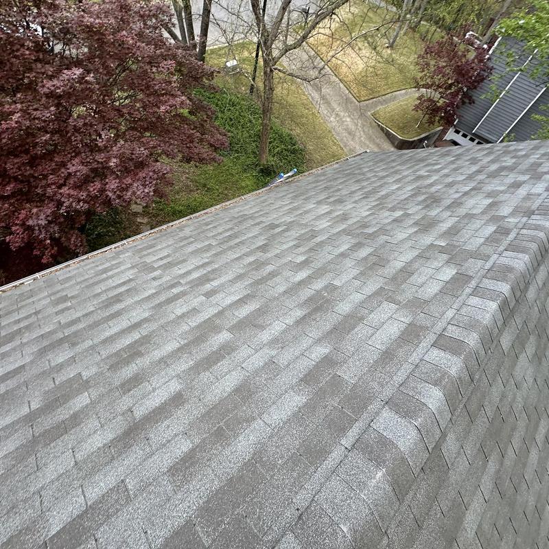 Roof shingles inspection with minor sealant repairs