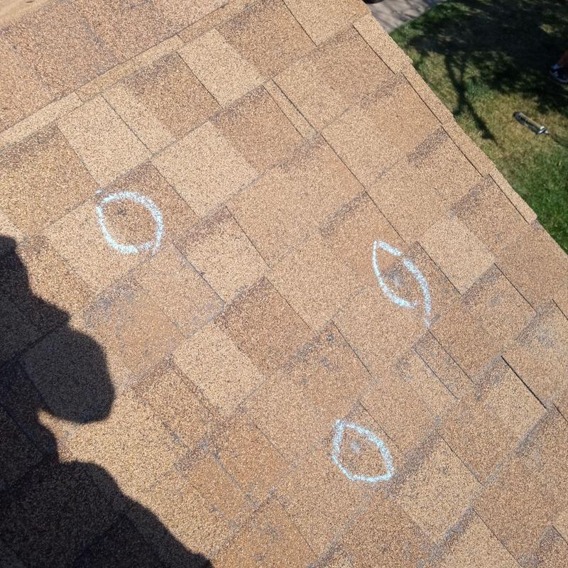 Asphalt Shingles with chalk-marked hail damage spots Asphalt Shingles with chalk-marked hail damage spots