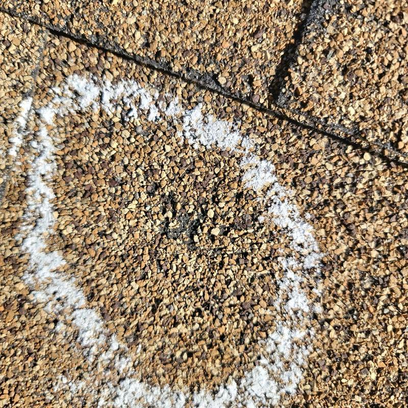 Roof shingle hail damage circled for inspection Roof shingle hail damage circled for inspection