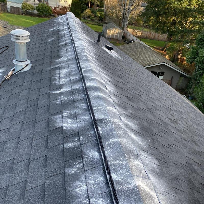 Roof shingle moss treatment and cleaning on residential roof