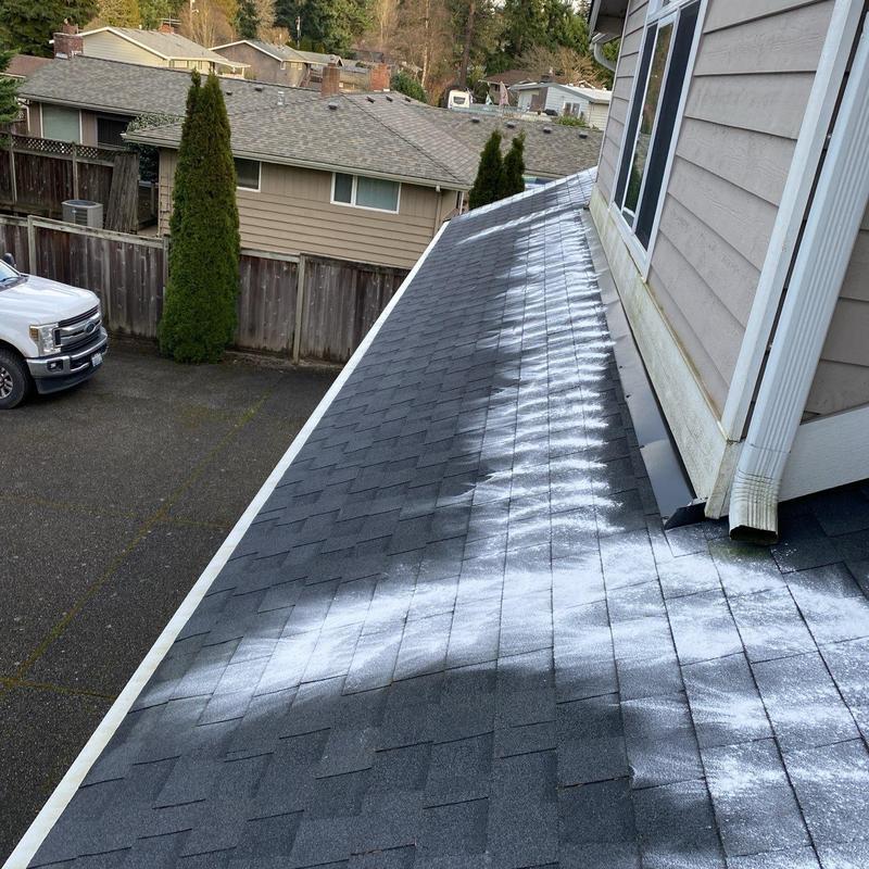 Roof shingles with moss treatment powder applied