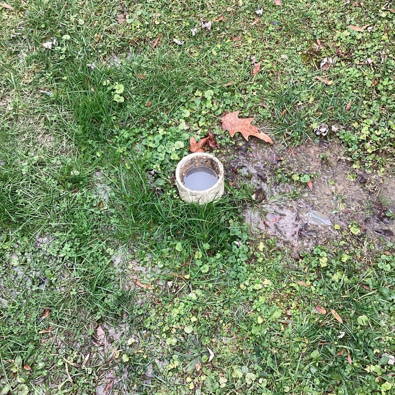 Outdoor sewer cleanout pipe with standing water and mud