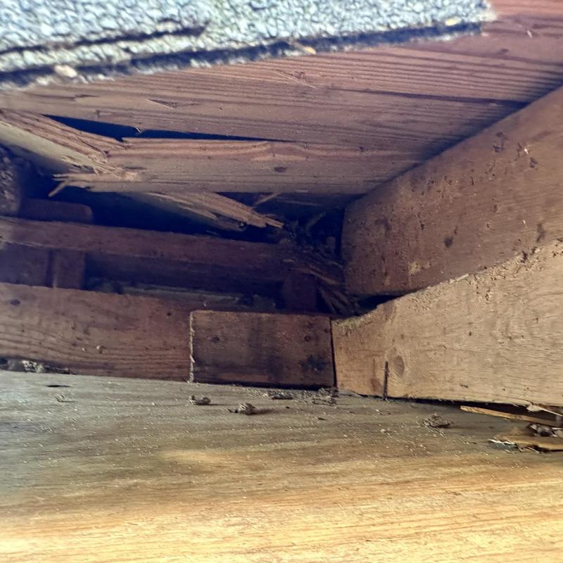 Roof decking and lookout damage from impact