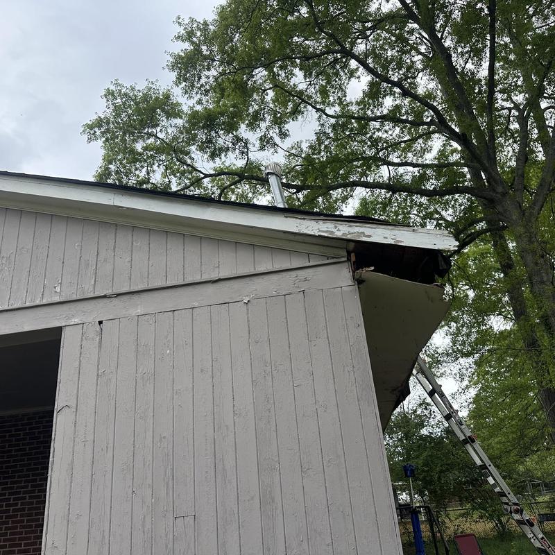 Roof decking and fascia damage from tree limb impact