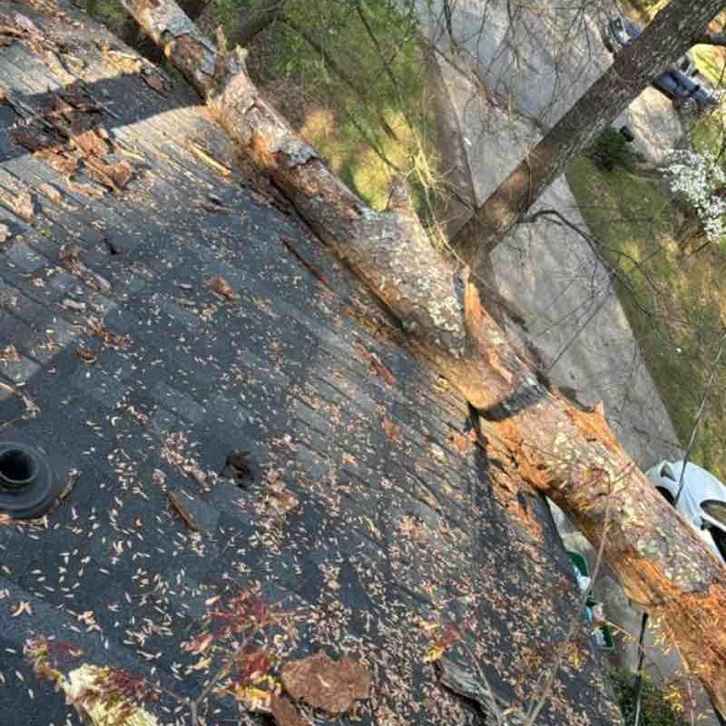 Roof decking damaged by fallen tree branch