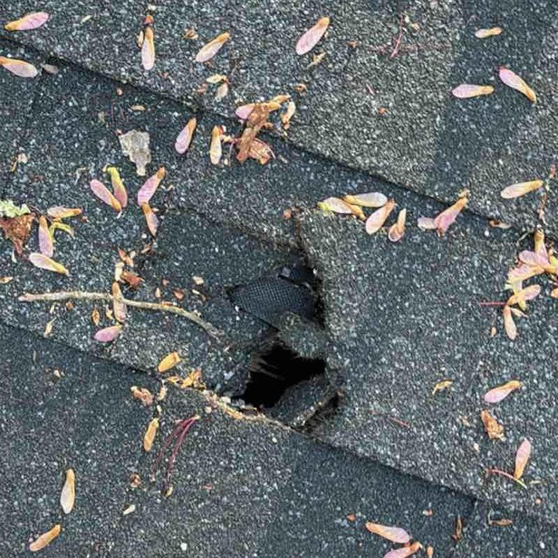 Roof shingles with hole and surrounding debris