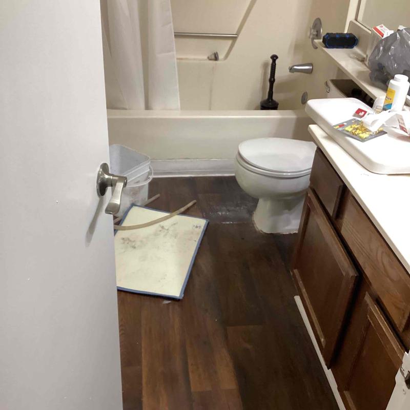 Toilet clog removal with drain snake in bathroom