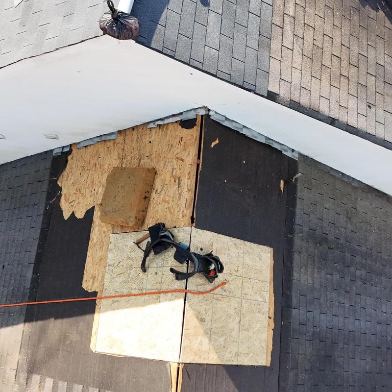 Roof decking replacement with safety harness and shingles