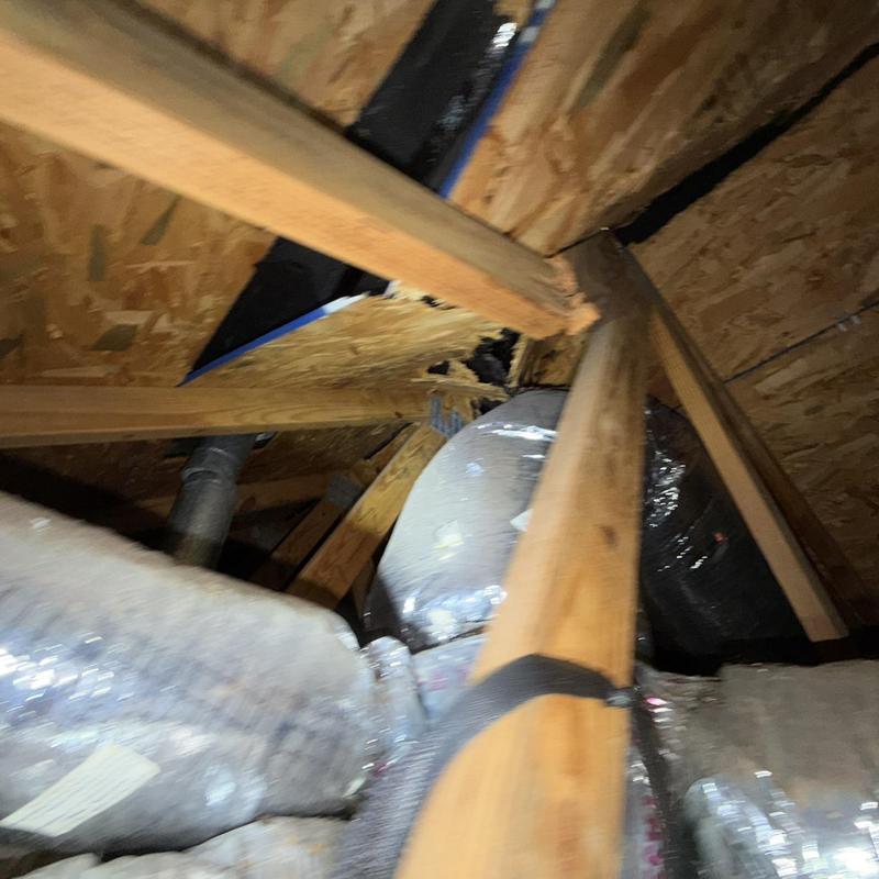Roof trusses and damaged decking in attic space