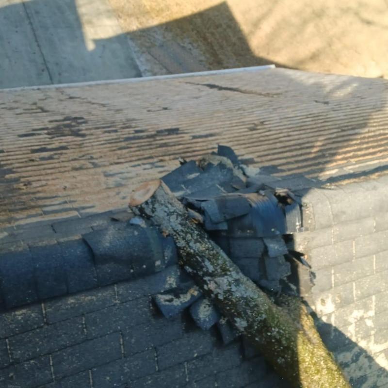 Roof shingles damaged by fallen tree branch on house roof