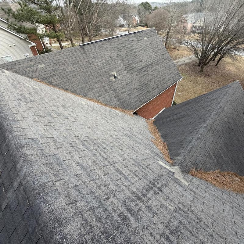 Asphalt shingle roof with ridge caps and debris buildup