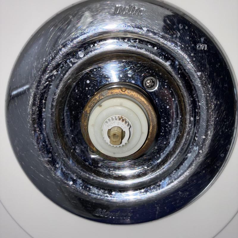 Delta shower valve cartridge with mineral buildup