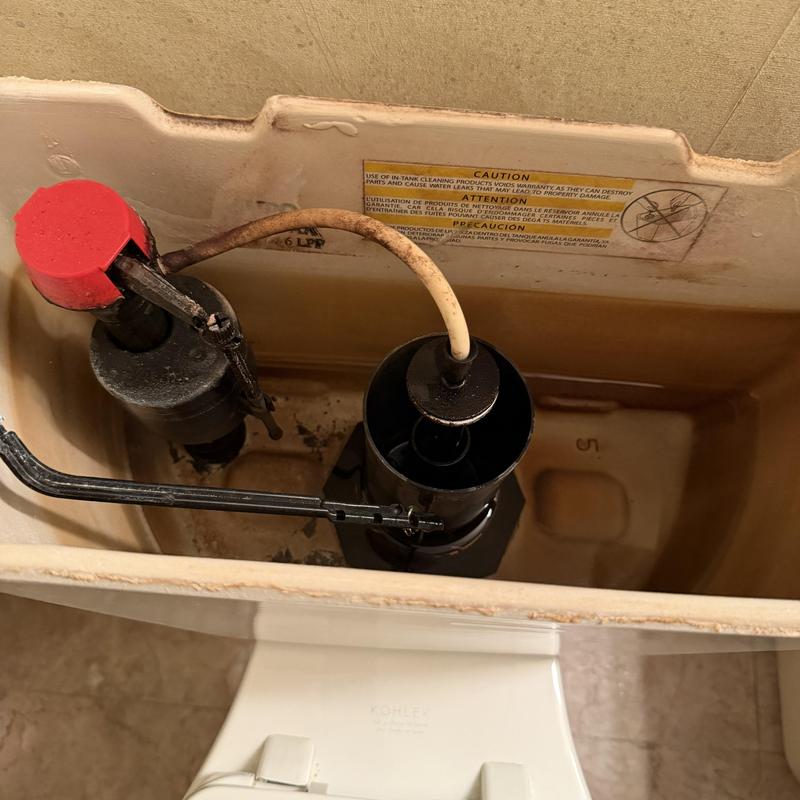 Toilet tank internal components with rusty fill valve line