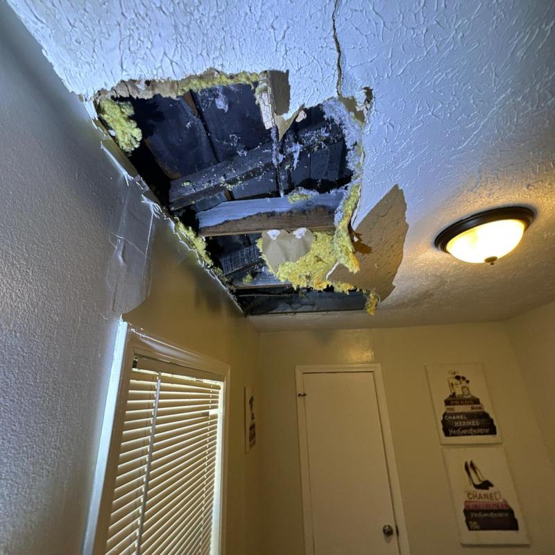 Interior ceiling drywall with water damage and insulation exposed Interior ceiling drywall with water damage and insulation exposed