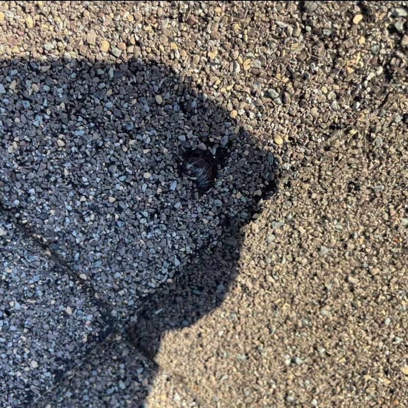 Asphalt shingle roof with damaged exposed nail head
