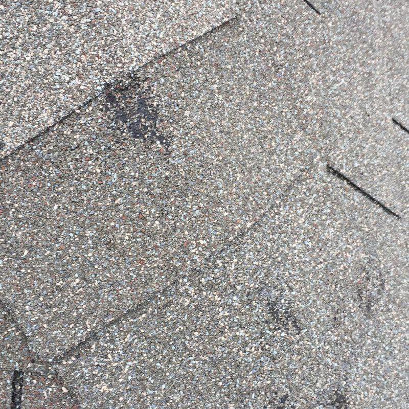 Laminated shingle roof with hail damage spots
