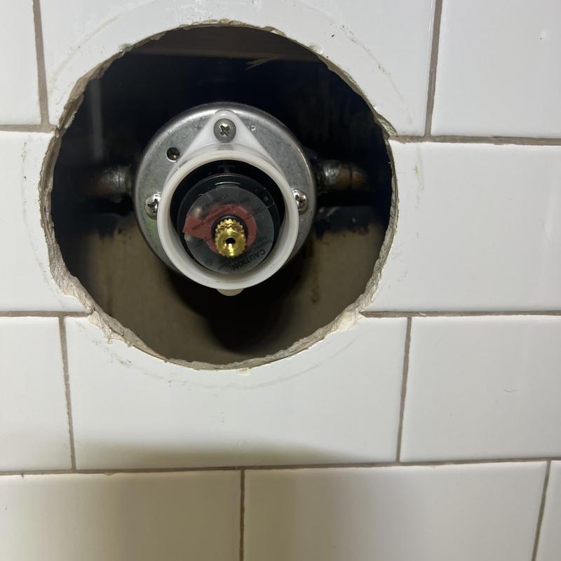 Delta shower cartridge inside tiled wall cutout