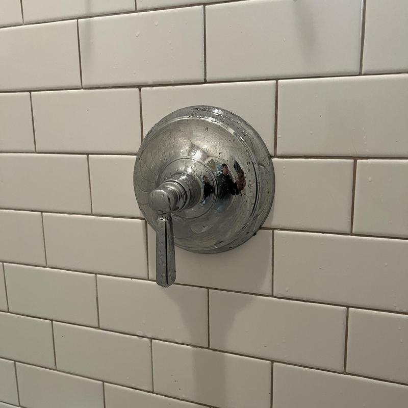 Delta single handle shower trim with water droplets