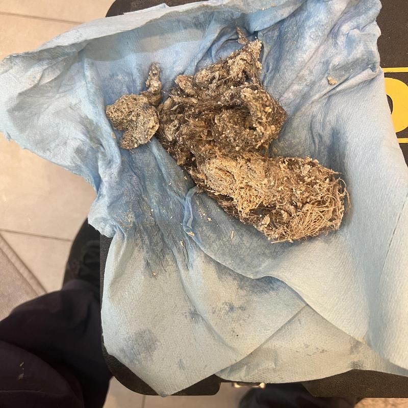 Drain debris removal from clogged drain cover