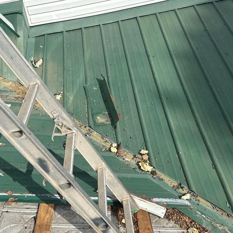 Metal roof panels with hail damage and ladder nearby